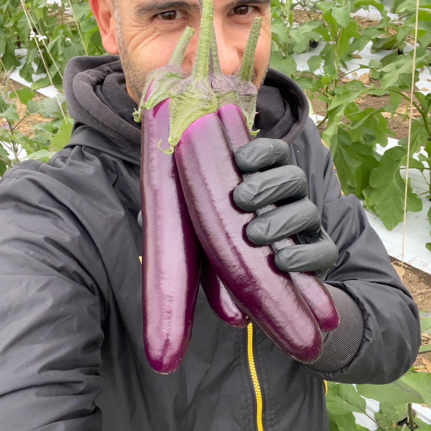 Alessandro tiene in mano le melanzane perlina